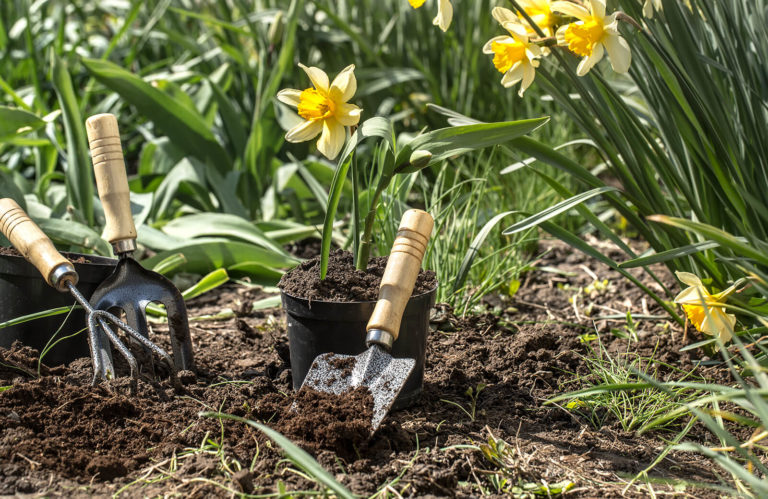 Better Gardening Through Garden Supplies